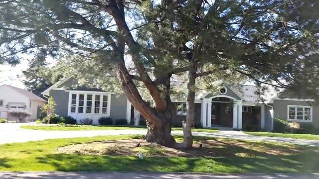 Америка. Юта. Весна в Юте. Прогулка по Holladay Utah. смотреть онлайн