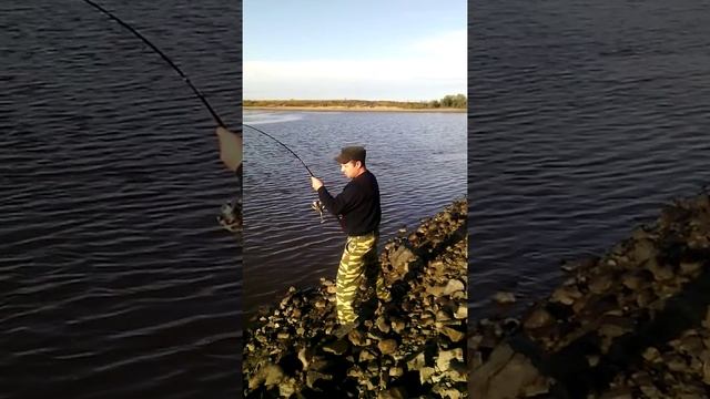 Как поймать Амурского Сома смотреть онлайн