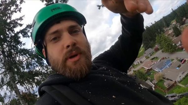 Weekend Warriors! Removing Two Large Backyard Fir Trees!