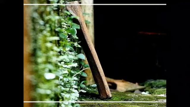 Hasil Foto Kamera FujiFilm FinePix S8600