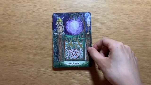 The Secrets of Wand Wood Oracle Deck | 神諭卡 смотреть онлайн