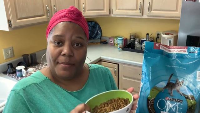 Our Point of View on Purina ONE Natural Dry Kitten Food From Amazon смотреть онлайн