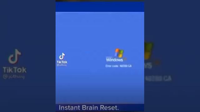 Instant brain reset смотреть онлайн