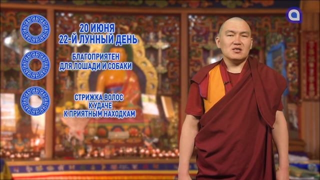 Лошади и собаки, уверенно решайте проблемы смотреть онлайн