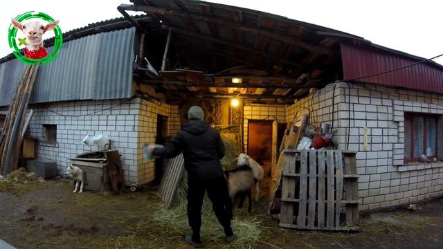 БОЛЬШОЕ ХОЗЯЙСТВО)) ВЕСЕЛЫЙ ХОЗ ДВОР смотреть онлайн