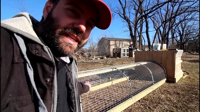 We bought some Rare Chickens to sell Ayam Cemani Hatching Eggs смотреть онлайн