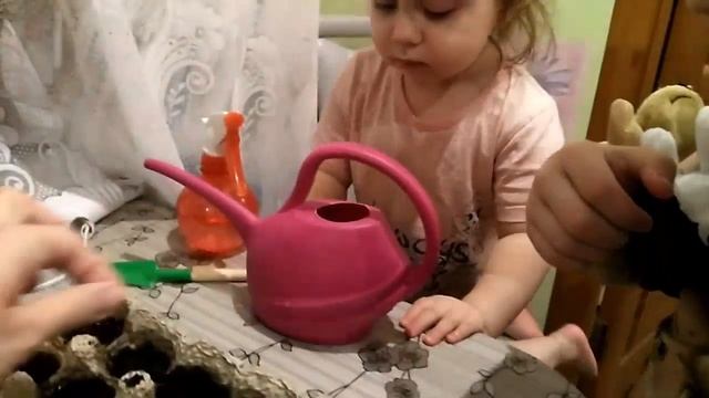 Биошкола. Сажаем кресс-салат. смотреть онлайн