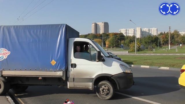 Вектор Движения №89. Добрые шипы.