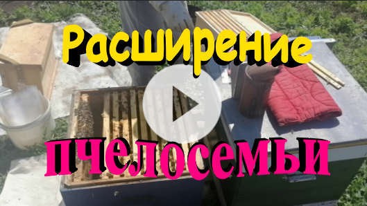 Расширение улья дадан смотреть онлайн