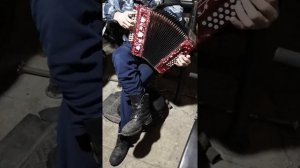 Шансон под гармонь. Заходите к нам на огонёк. (Розенбаум А. Я. )