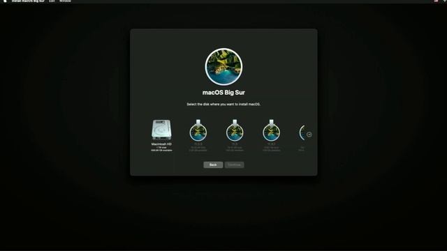 Downgrade from macOS Monterey to Big Sur or Catalina on Intel and M1 Macs! смотреть онлайн