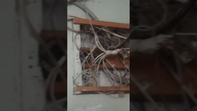 шитовпя ппц просто