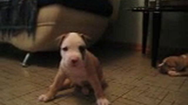 Дети 1 мес 046 смотреть онлайн