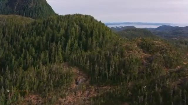 РАССЛАБЛЯЮЩАЯ МУЗЫКА ДЛЯ МЕДИТАЦИИ|RELAXING MEDICATION MUSIC PIANO ? 6 смотреть онлайн