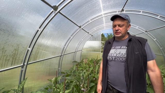 Отзыв о теплице Кремлёвская Цинк 100 смотреть онлайн