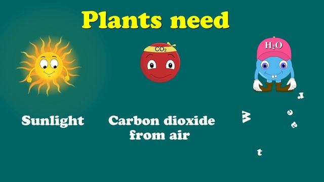 Photosynthesis | #aumsum #kids #science #education #children