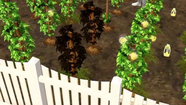 The Sims 3 Life Fruit,Flame Fruit and Money Tree смотреть онлайн