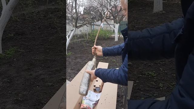 Отзыв Агромаркет (відгук) Саженцы Хурма Янтарная (сорт Гигант), Нектарин Инжирный, Жимолость смотреть онлайн