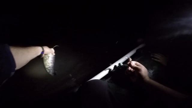 Ловля Сома летом. Catfish смотреть онлайн