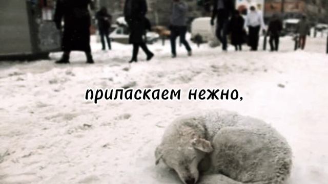 Баллада о щенке (1) смотреть онлайн