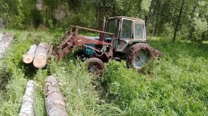 Работа трактора Т-40АМ в лесу