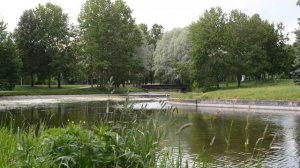 ДЕРЕВЕНСКАЯ ЛЮБОВЬ ПОД ЗАБОРОМ. Интересные истории из жизни. Жизненные аудио рассказы