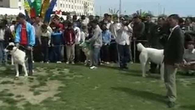 Туркмения, выставка 2005 г