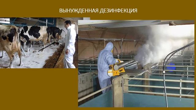 02 05 2020 Технологияд 8класс РыковаН Н смотреть онлайн