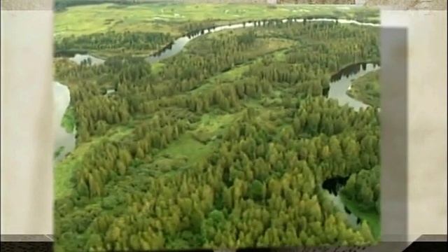 Эдуард Безносов, Евгения Абелюк. Поэтическая мифология Сергея Есенина. смотреть онлайн