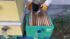 Двухматочное содержание в вертикальном улье. От слабышей к МЕДОВИКУ.