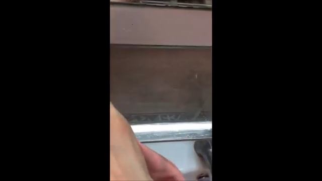 Паста мистик Гринвей (Greenway)