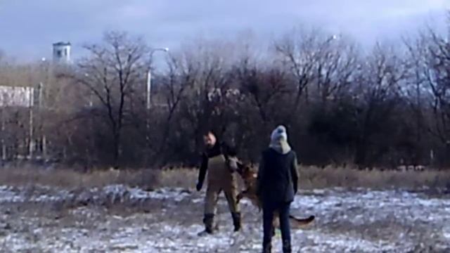 Желя . догон через обыски смотреть онлайн