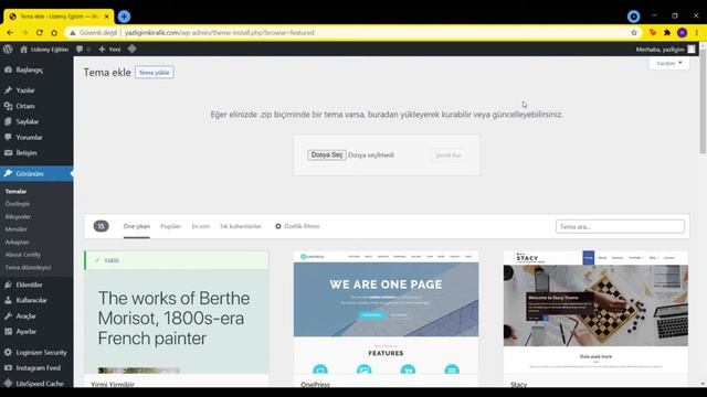 Wordpress Tema Style CSS Stil Dosyası İçermiyor Hatası | Wordpress Themeforest-Envato Tema Kurulumu смотреть онлайн