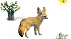 животные африки