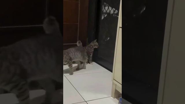 video_2024-06-07_09-57-45 смотреть онлайн