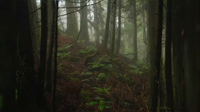 Зина Куприянович-Миру мир cover by OneStar смотреть онлайн