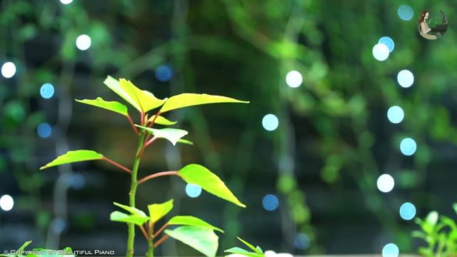 Top 40 Beautiful Piano Love Songs Ever - Soft Relaxing Romantic Love Songs Instrumental Music смотреть онлайн
