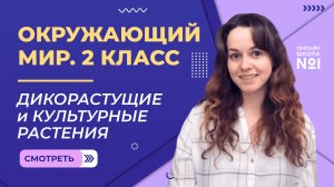 Видеоурок 13. Дикорастущие и культурные растения. Окружающий мир 2 класс