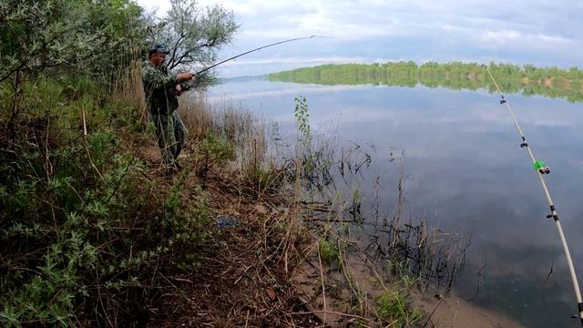 Огромные караси на донку.Рыбалка на КАРАСЯ весной. смотреть онлайн