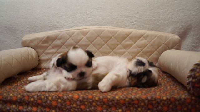 20140710142404 смотреть онлайн