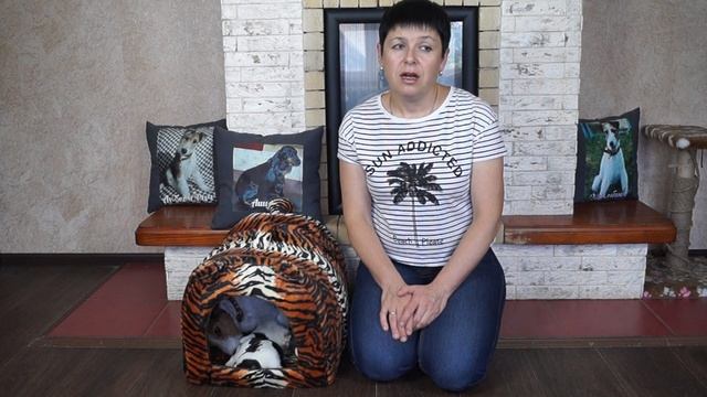 ЩЕНКИ ЖЕСТКОШЕРСТНОГО ФОКСТЕРЬЕРА//ПРИЗНАКИ НАСТУПЛЕНИЯ РОДОВ У СОБАКИ смотреть онлайн