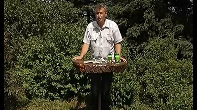 УДАЧНЫЙ СЕЗОН смотреть онлайн