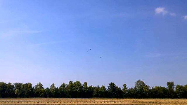 F5 Авиамодельные классы, радиоуправляемые авиамодели с электромотором мотопланеры F5A, F5B, F5D, F5 смотреть онлайн