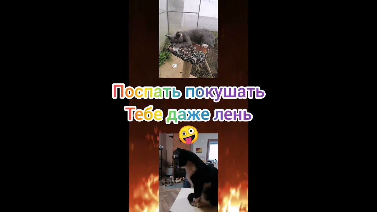 А тебе лень? смотреть онлайн