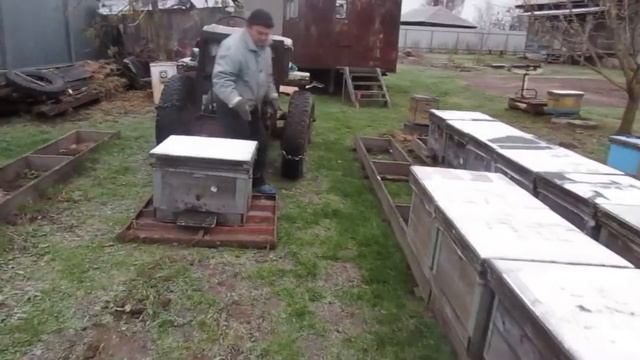 Постановка пчел на зимовку на улице