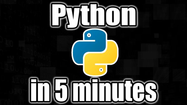 Изучите PYTHON за 5 МИНУТ