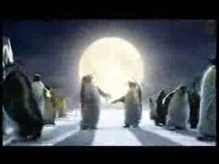 Вечеринка в Антарктиде смотреть онлайн