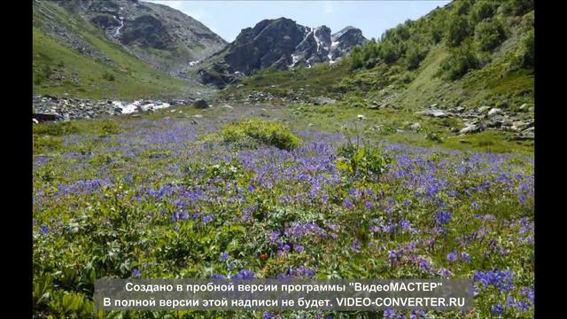 kabarda cinema смотреть онлайн