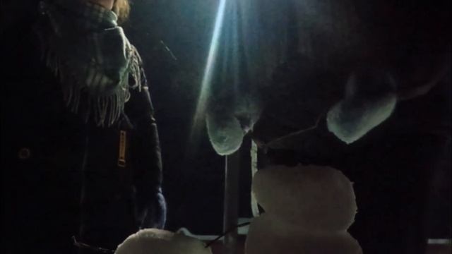 лепим армию минснеговиков ночью в 18 лет