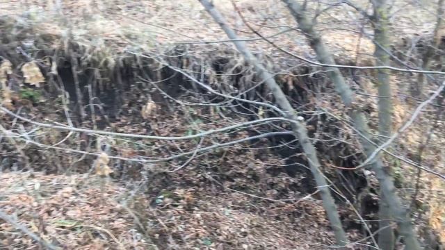 Как растёт овраг.